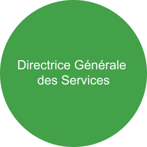 Icône illustration pour la direction générale des services